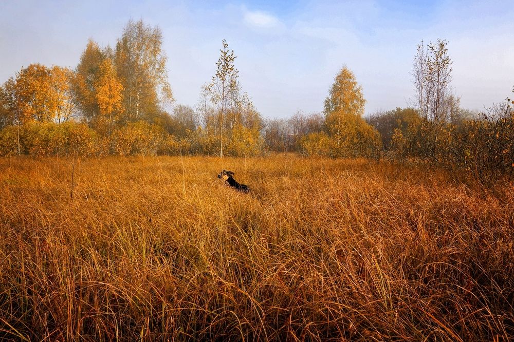 Photograph by Татьяна Шандромайло