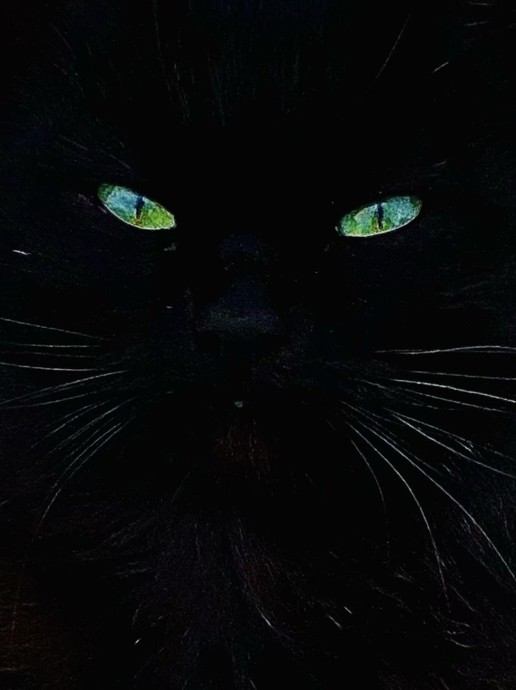 Фотография автора ГУЗАЛИЯ ГАНИЕВА