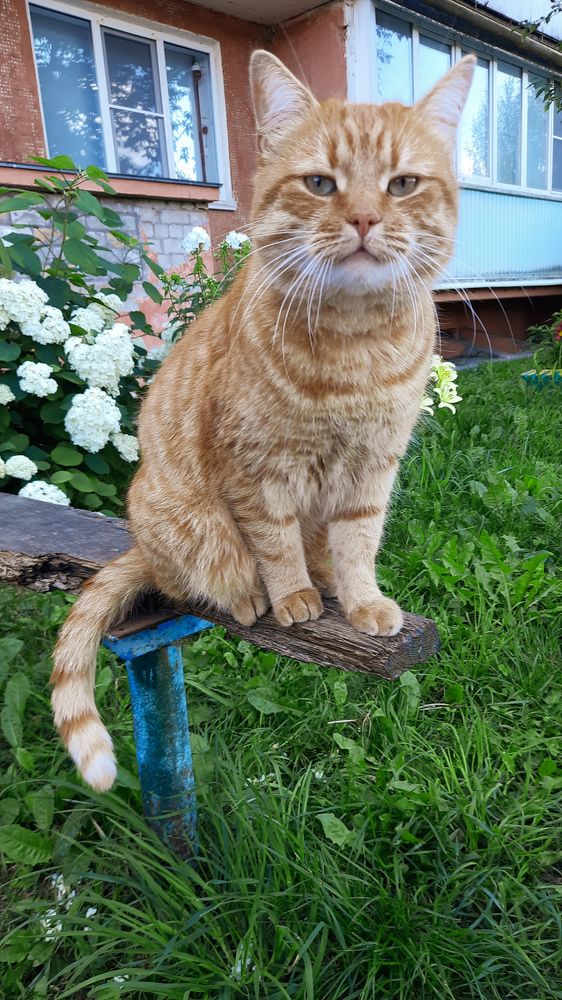 Photograph by Ольга Новоселова