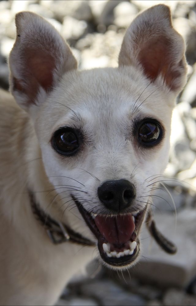 Photograph by Ирина Тихая