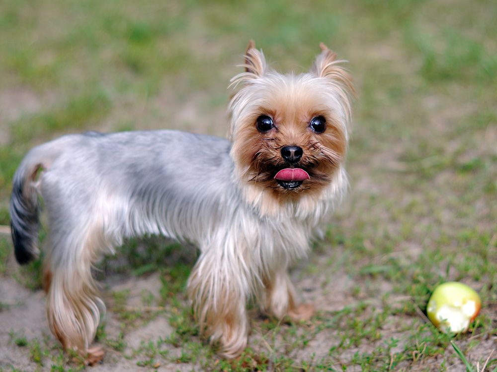 Photograph by Сергей Калинин