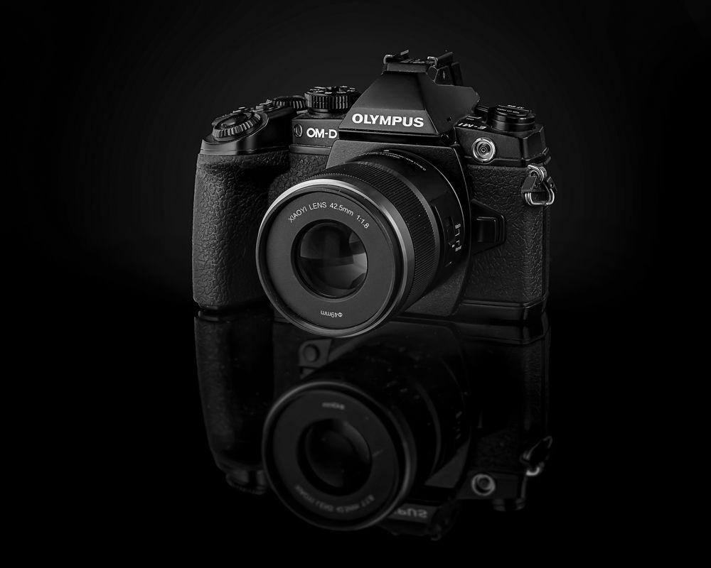 Photograph by David Lerer