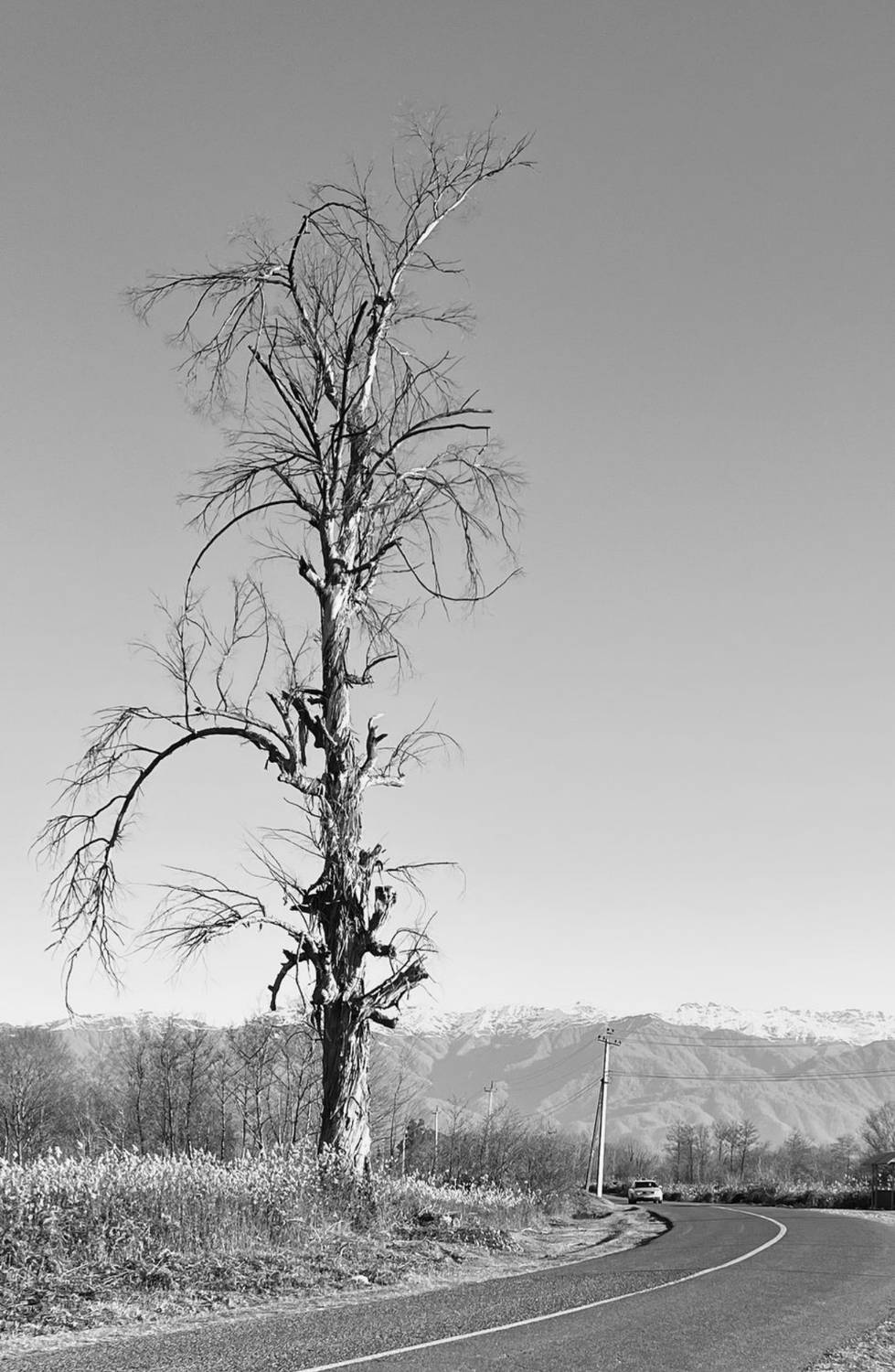 Photo #9654576