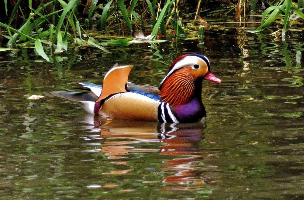 Photograph by backareva irina