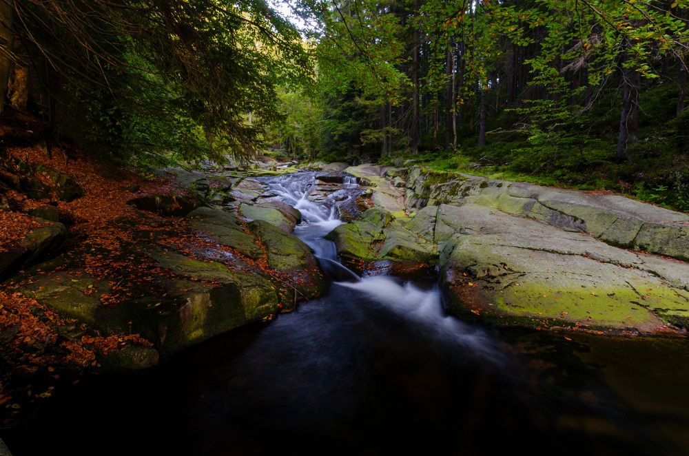 Photograph by Oleg Yashin