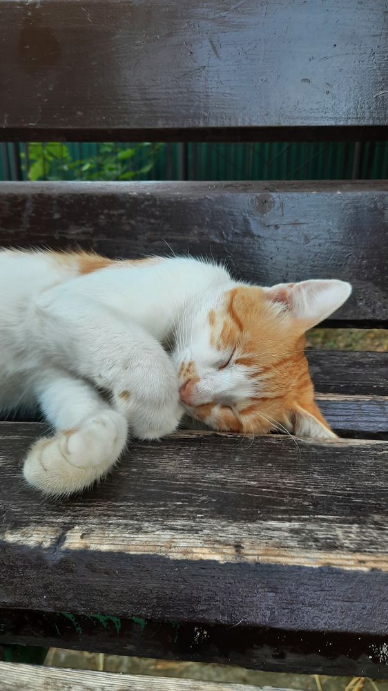 Photograph by Ольга Новоселова