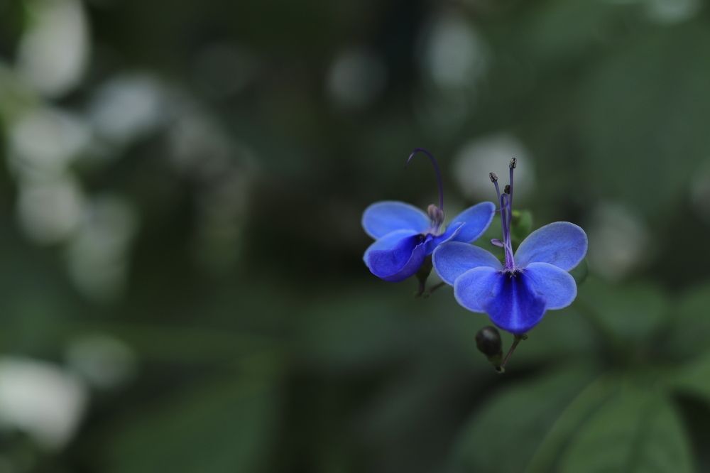 Фотография автора Edīte Ogorodnikova