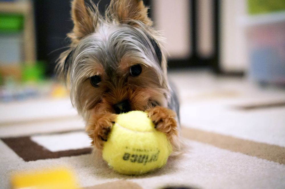 Photograph by Сергей Калинин