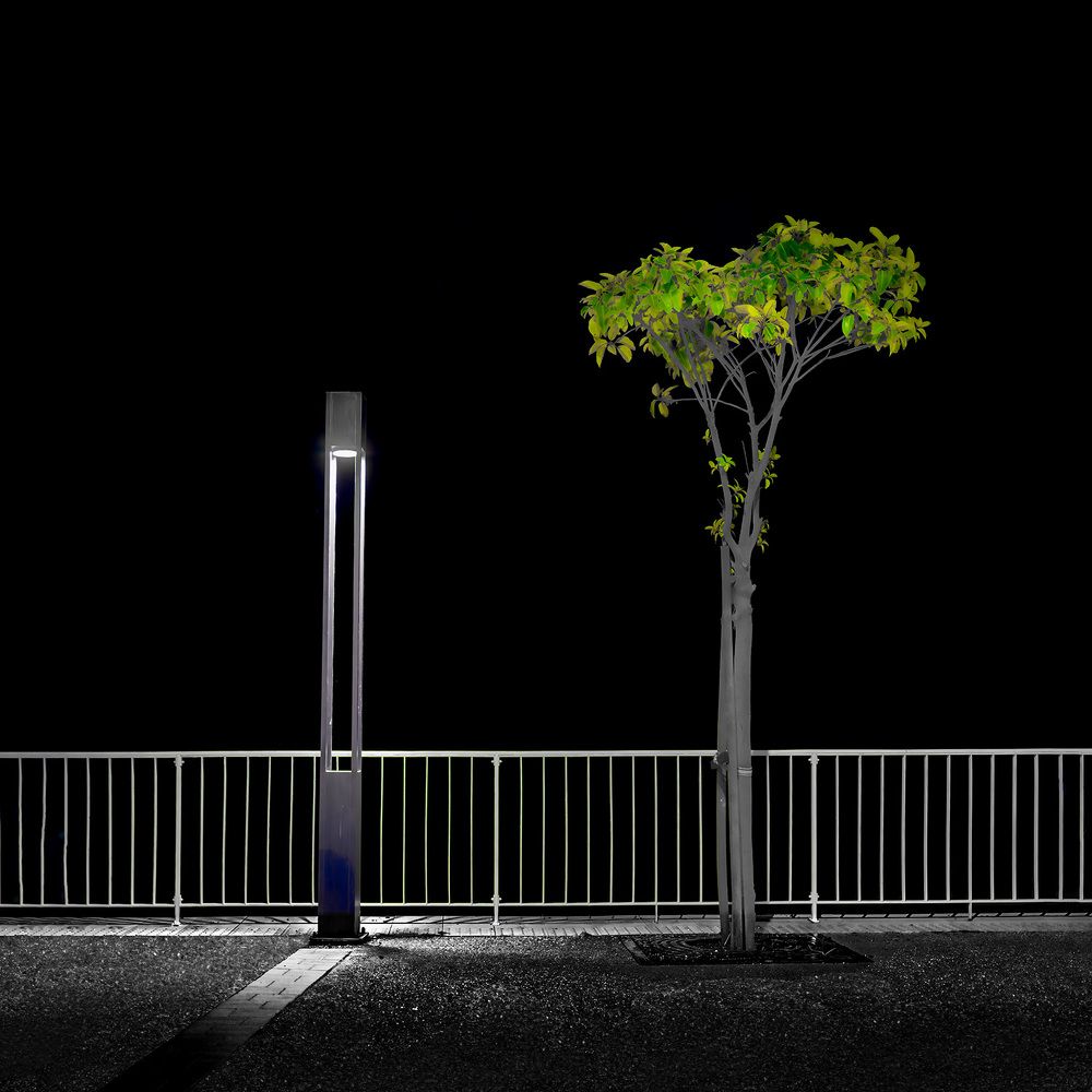 Photograph by Rustu Erata