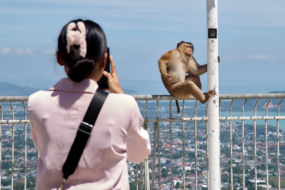 Photograph by Дмитрий Солодухин
