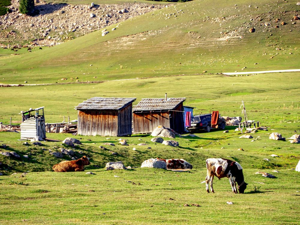 Photograph by Иван Труфанов