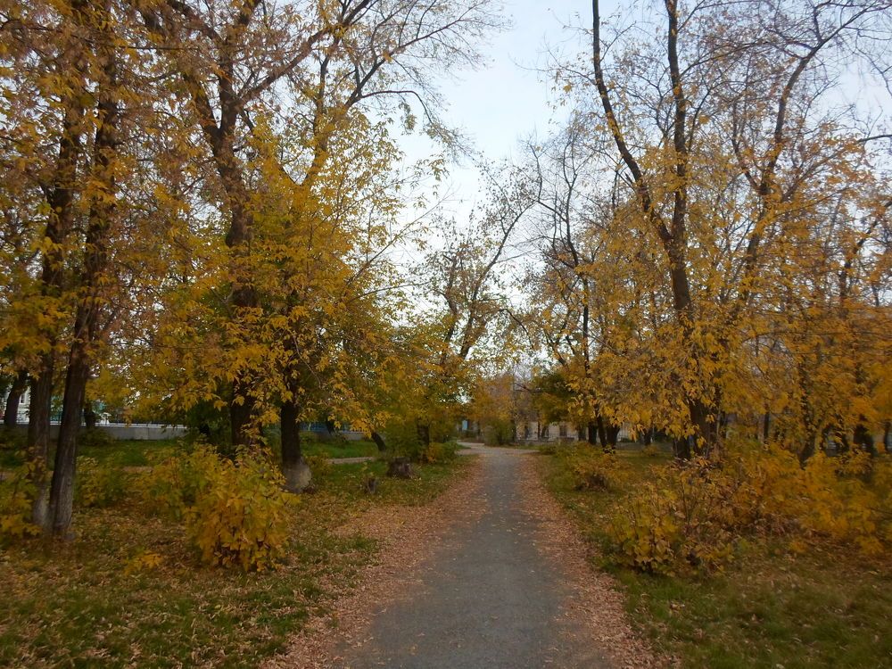 Photograph by Лида