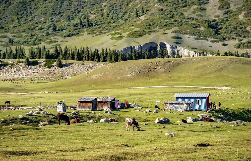 Photograph by Иван Труфанов