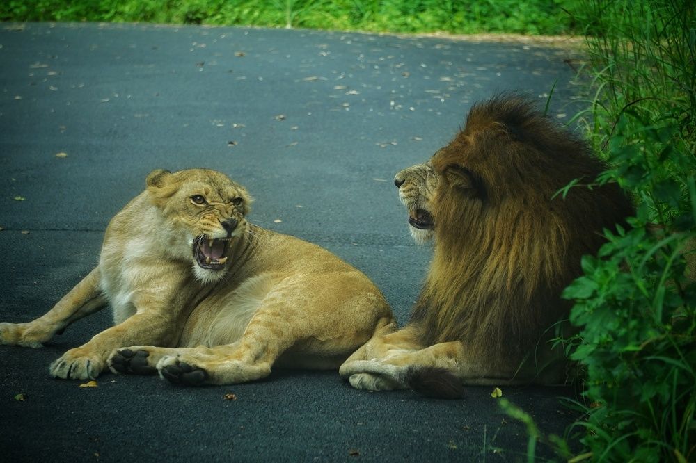 Photograph by Vetrivel Nagaraj