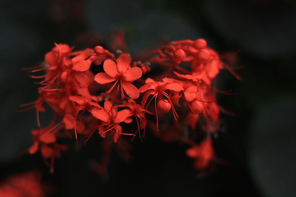 Фотография автора Edīte Ogorodnikova