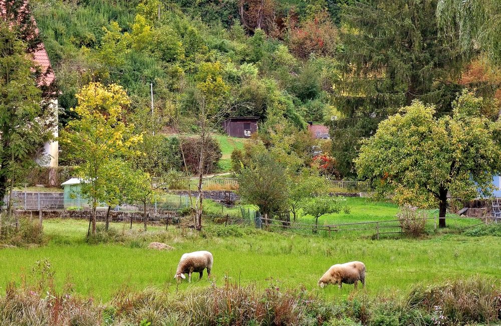 Photograph by backareva irina