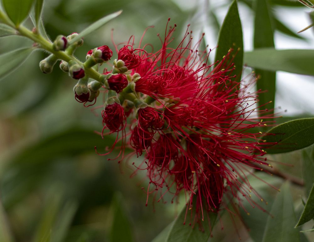 Фотография автора Edīte Ogorodnikova
