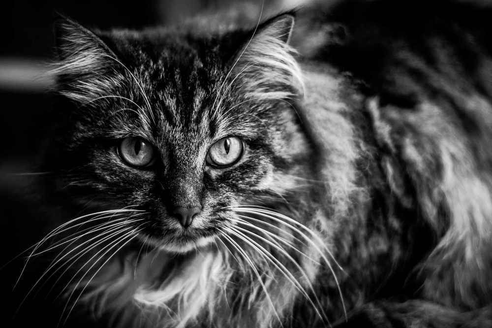 Фотография автора Варвара Власова