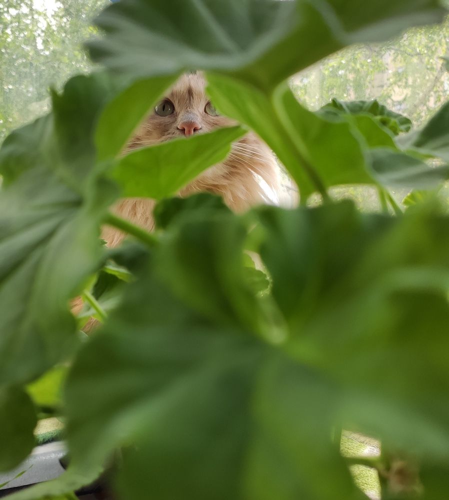 Photograph by Сидорова Ирина