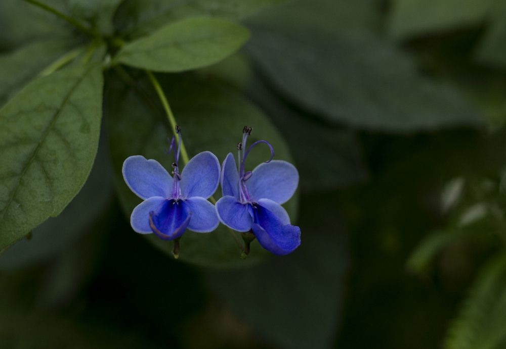 Фотография автора Edīte Ogorodnikova