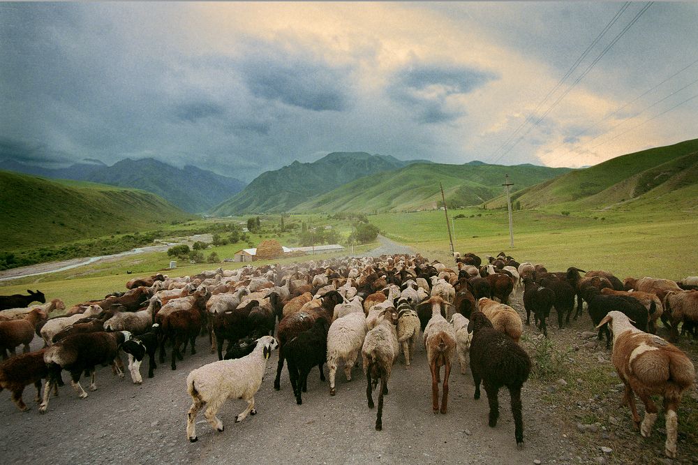 Photograph by Иван Труфанов