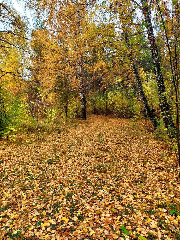 Краски осени