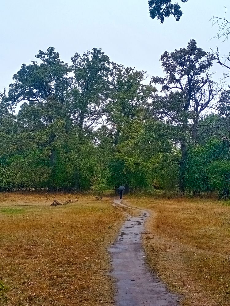 Photograph by Евгений Каримов