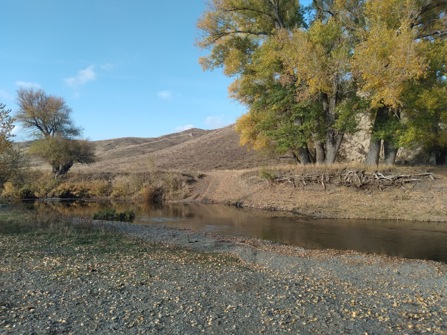 Photo #9654767