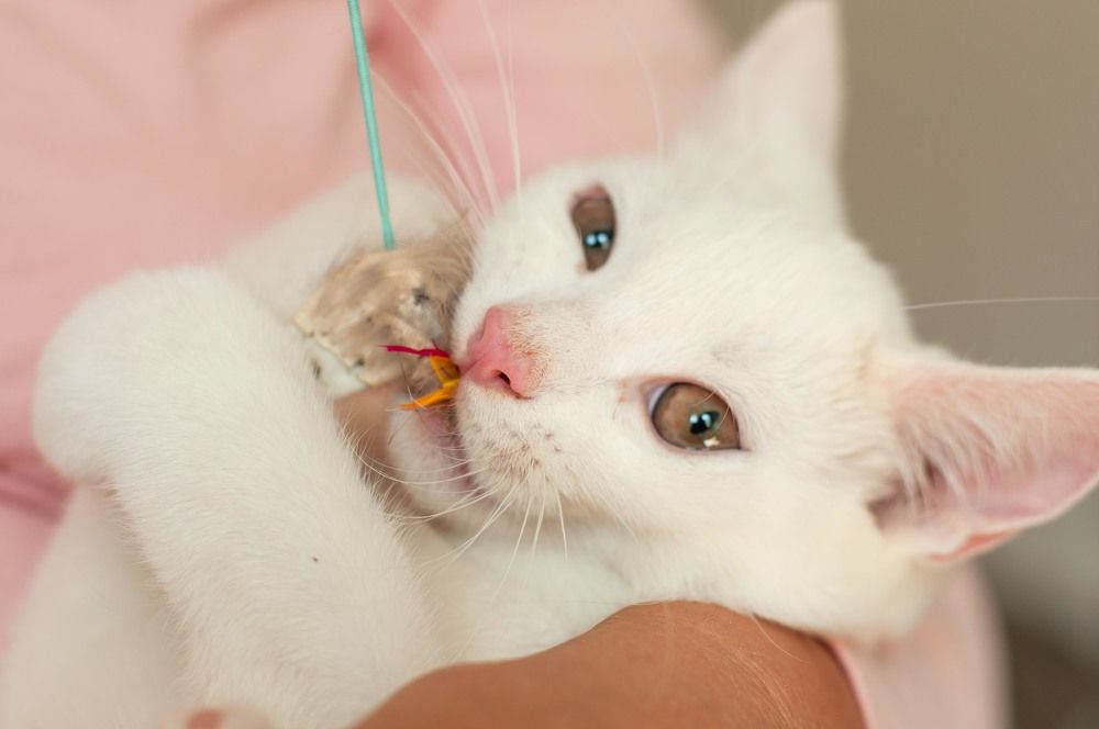 Photograph by Виктория Павлюк