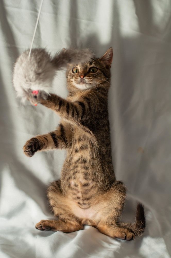 Photograph by Виктория Павлюк