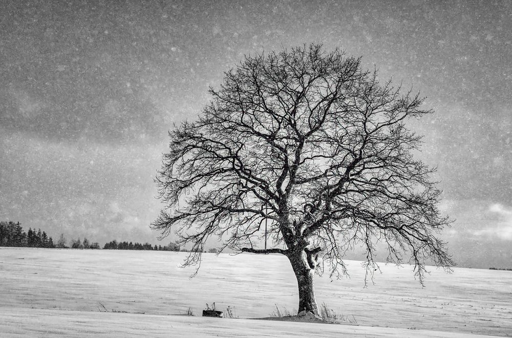 Photograph by Albina Kulikova