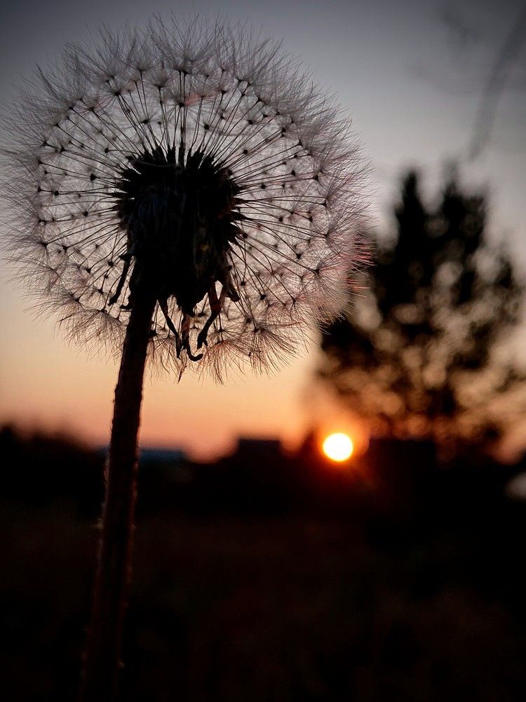 Уходит солнце на покой...