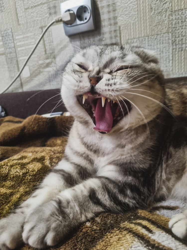 Photograph by Елена Ромашкина