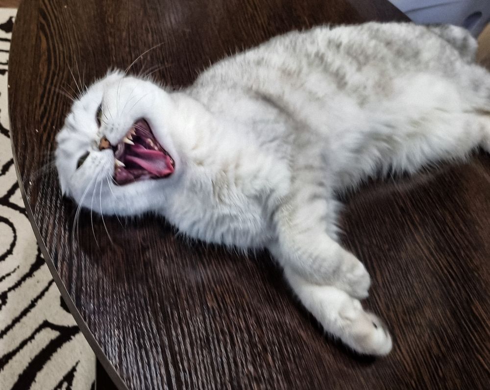 Photograph by Елена Ромашкина