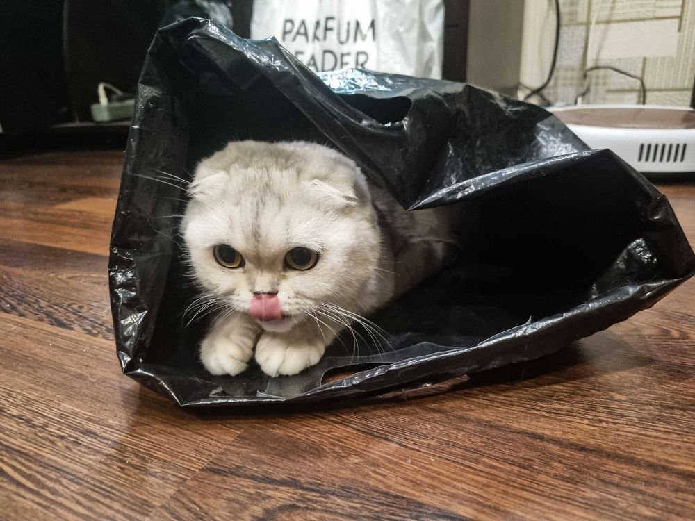 Photograph by Елена Ромашкина