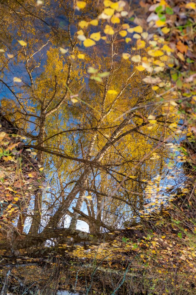 Photograph by Альберт Габбасов