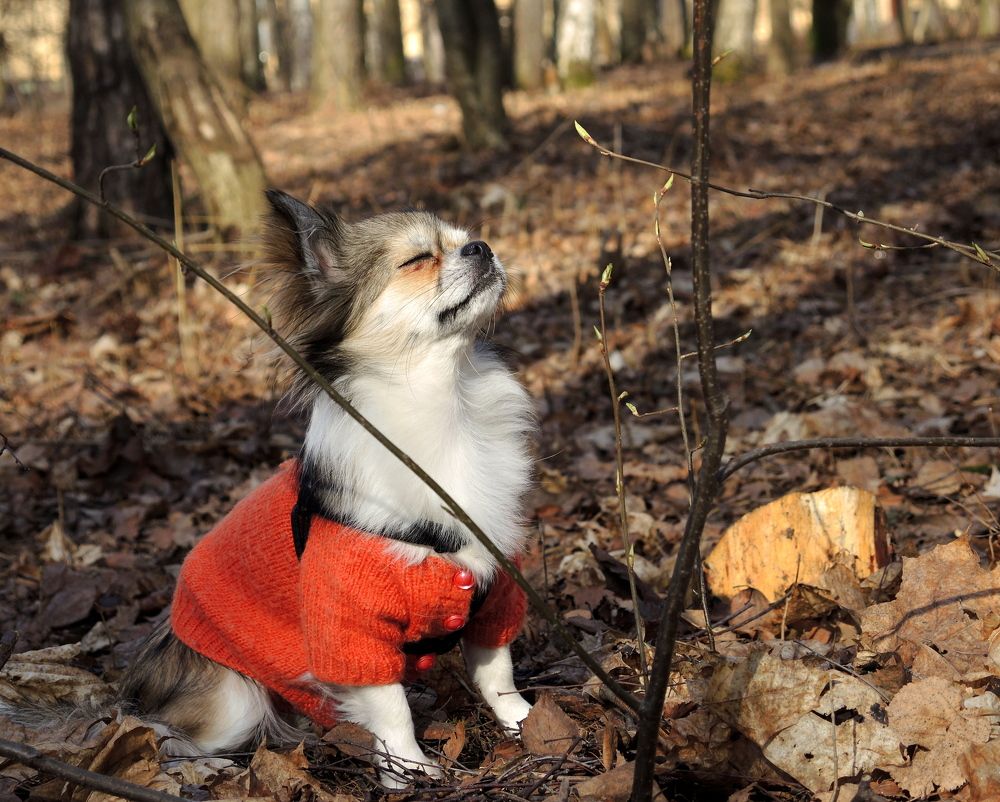 И пусть весь мир подождёт...