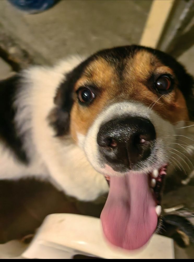 Photograph by Ирина Тихая