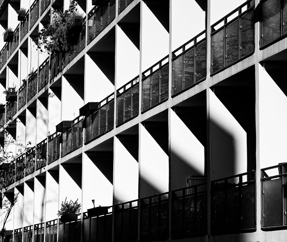 Photograph by Oleg Yashin