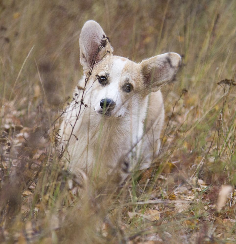 Photograph by Наталья Кирина