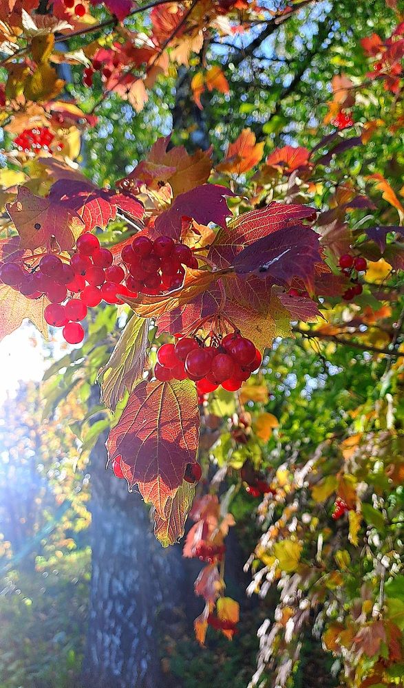 Photograph by Николай Худяков