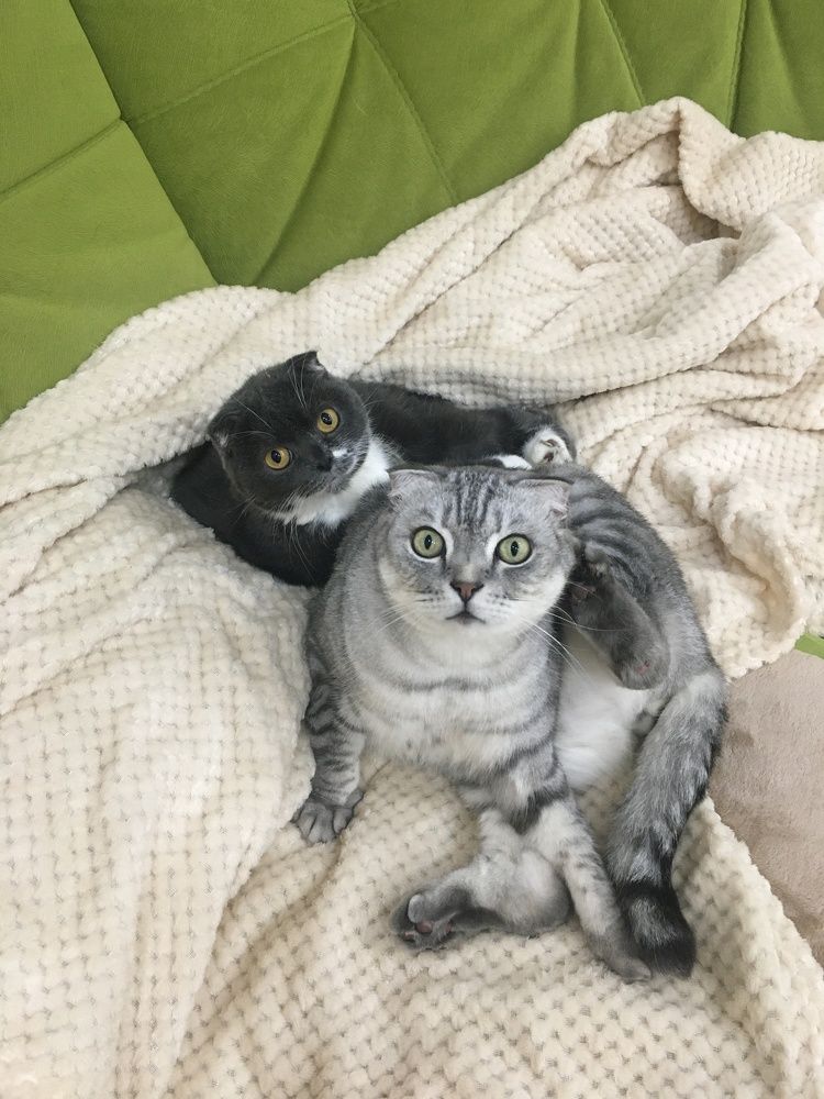 Photograph by Наталья Душакова