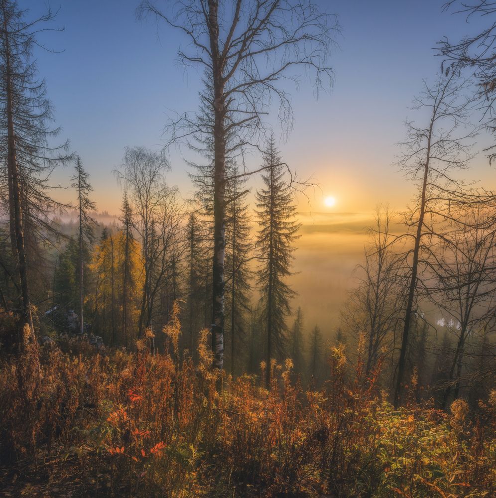 Photograph by  Михаил