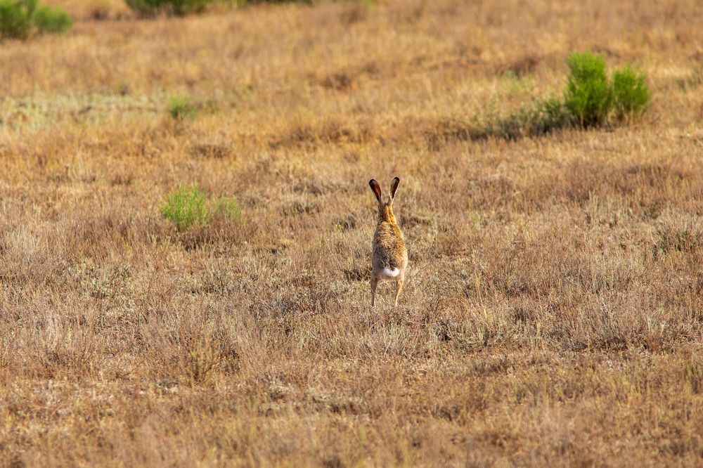 Photograph by Евгения Севрюкова