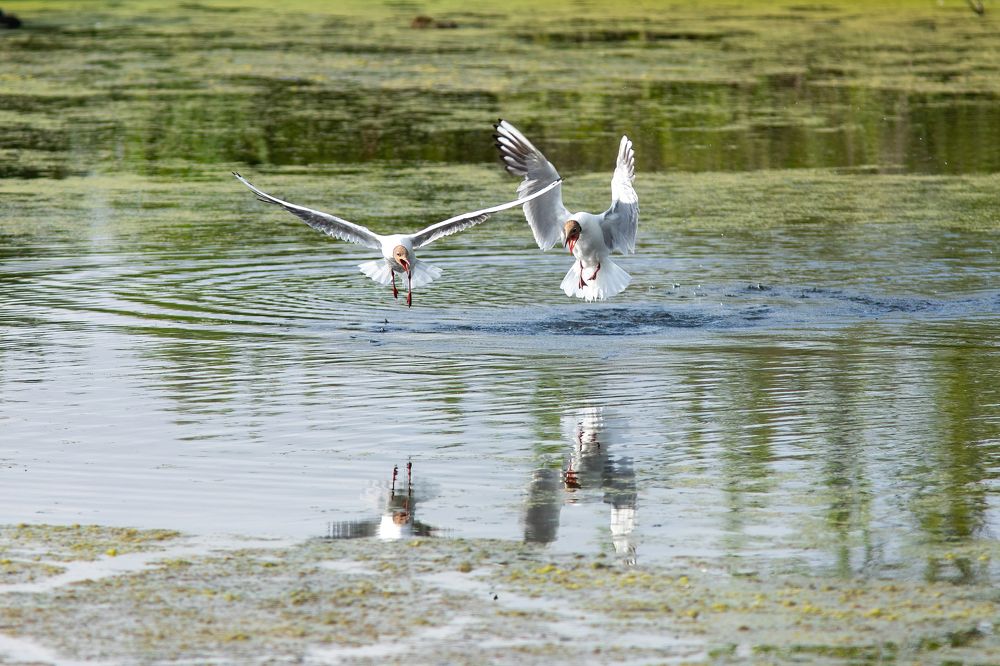 Photograph by Евгения Севрюкова