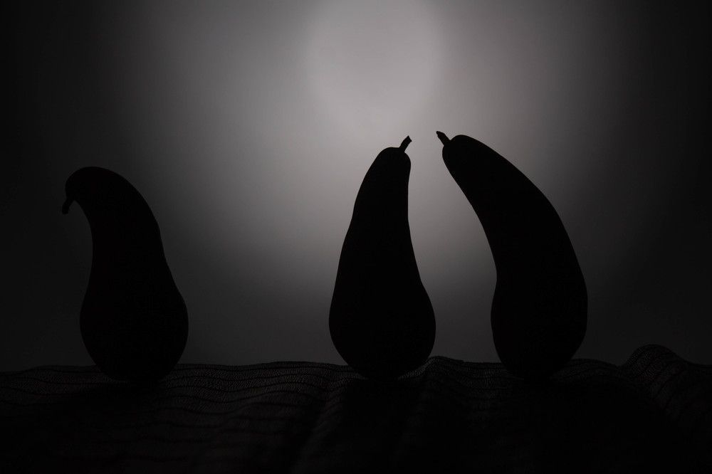 Photograph by Софья Зырянова