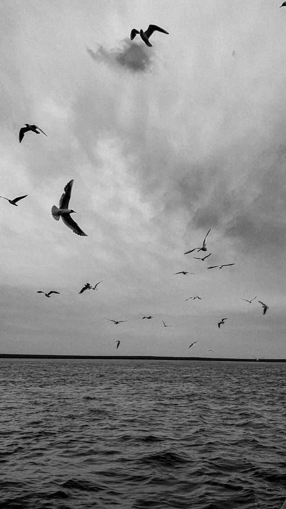 Photograph by Максим Фомин