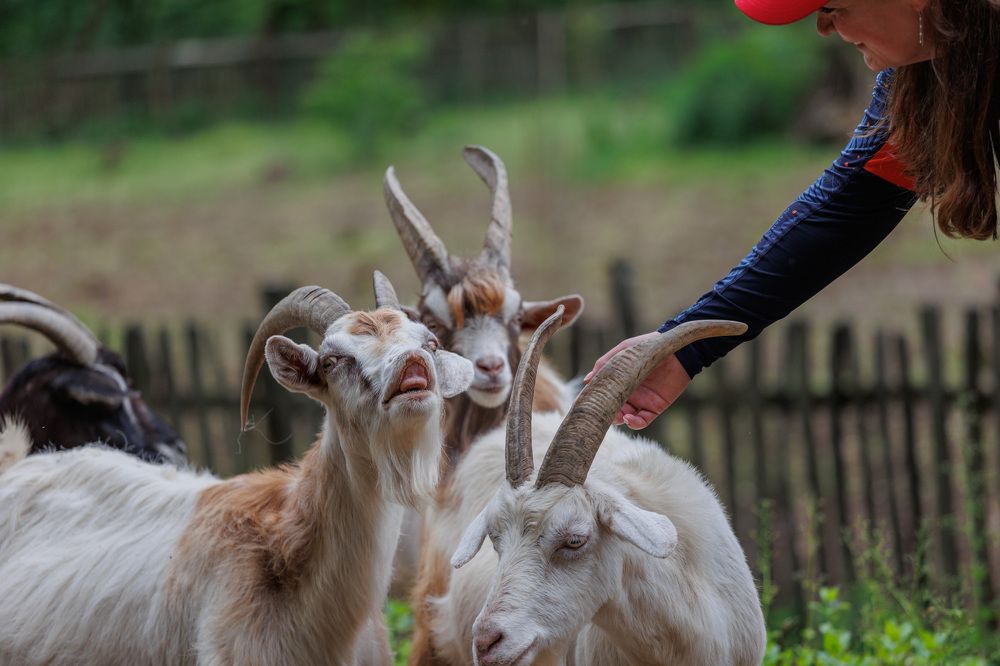 Фотография автора Fallen Angel