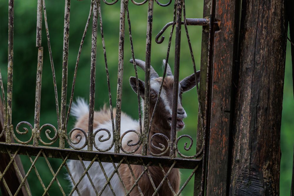 Фотография автора Fallen Angel