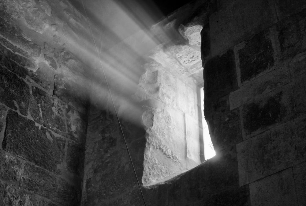 Фотография автора Алена